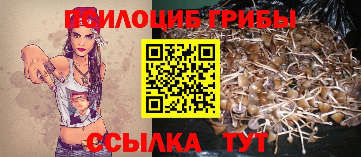 как найти   Вход с VPN  Галлюциногенные грибы MAGIC MUSHROOMS  Дзержинск  Псилоцибиновые грибы ЛСД 